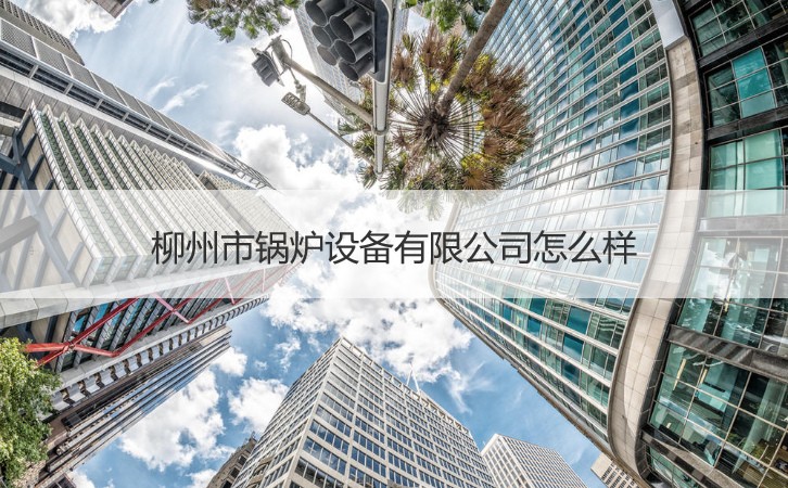 柳州的產(chǎn)業(yè)機(jī)遇 鍋爐設(shè)備、就業(yè)環(huán)境與針紡原料銷(xiāo)售分析